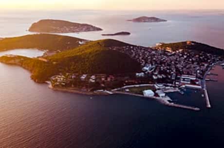 Tur & Organizasyonlar